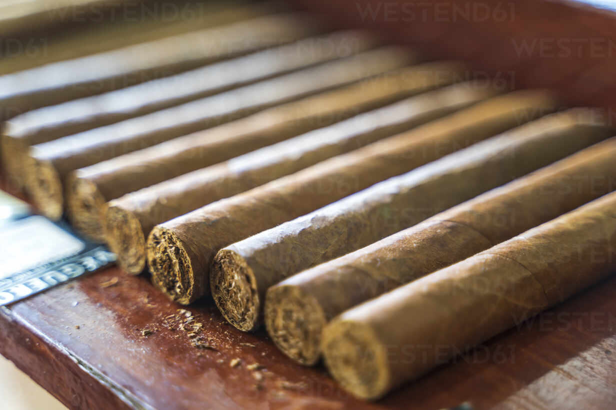 Puros y tabaco cubano